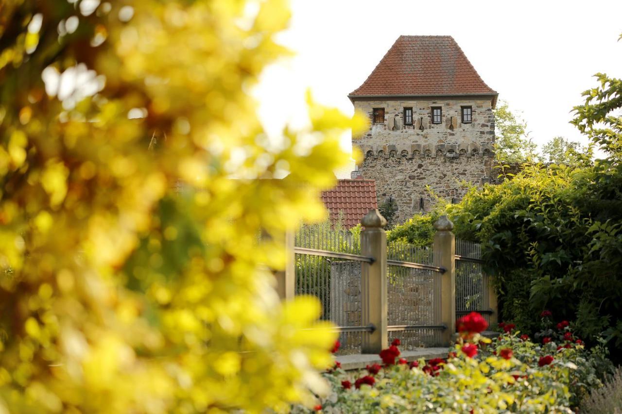 Altstadthof Freinsheim Exteriér fotografie