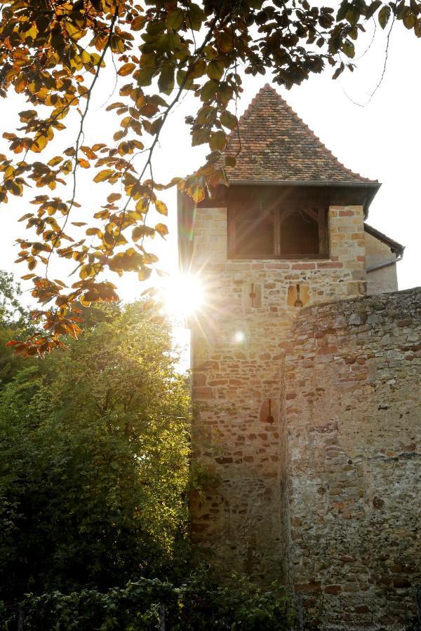 Altstadthof Freinsheim Exteriér fotografie